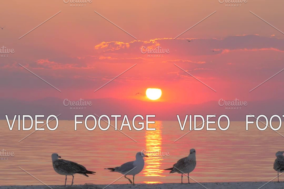 Seagulls and sunset over sea in Graphics - product preview 8