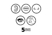 Five senses outline icons vector of
