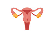 Female reproductive system for