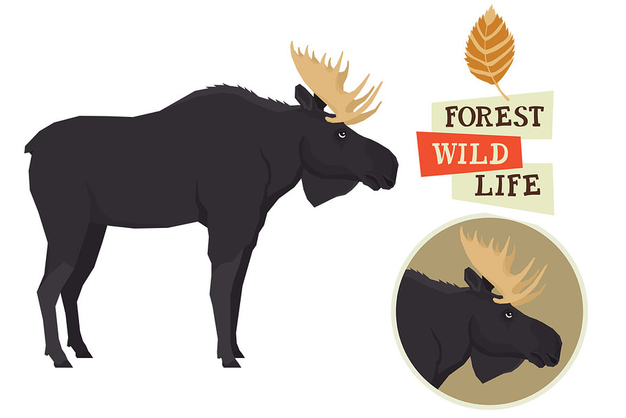 Moose Forest Wildlife set in Objects - product preview 8