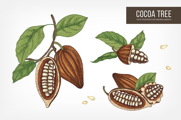 Cocoa tree hand drawn collection