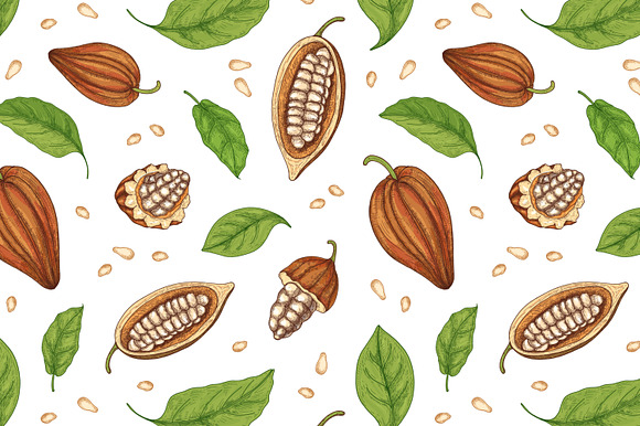 Cocoa tree hand drawn collection in Illustrations - product preview 2