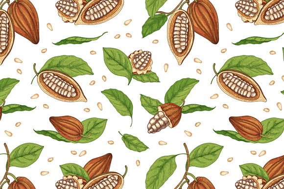 Cocoa tree hand drawn collection in Illustrations - product preview 4