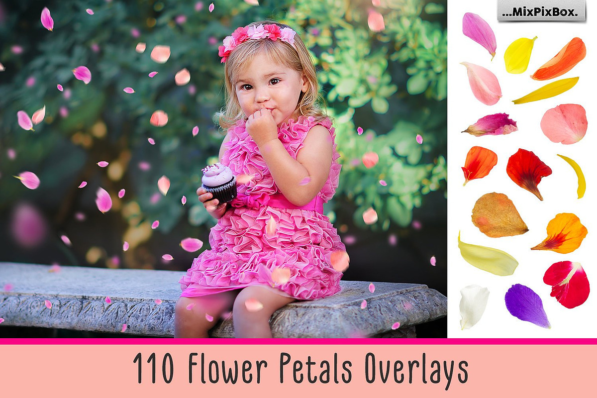 Flower Petals Photo Overlays in Add-Ons - product preview 8