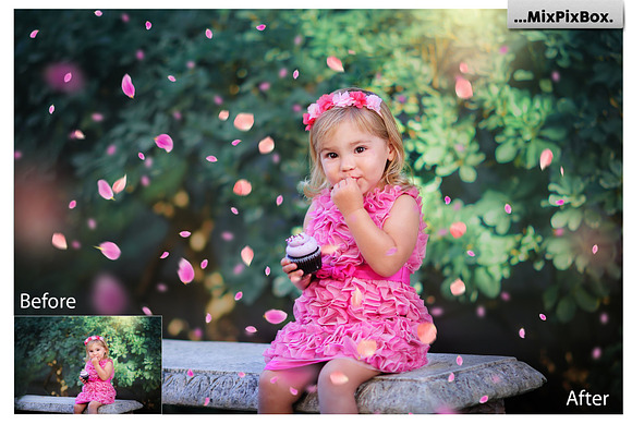 Flower Petals Photo Overlays in Add-Ons - product preview 2