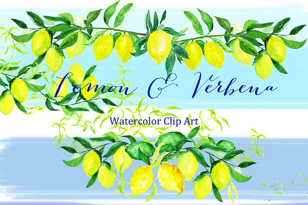 Lemon & verbena. watercolor clipart