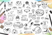 Doodle Cats and Pet Accessories
