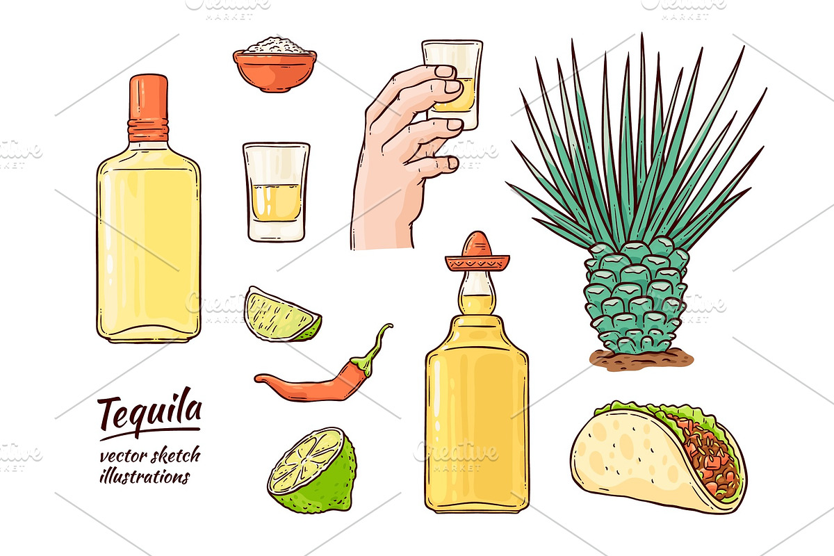 Vector glass tequila bottle sketch in Illustrations - product preview 8