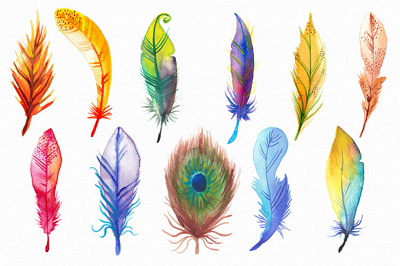 11 High Res Watercolor Feathers in Illustrations - product preview 3