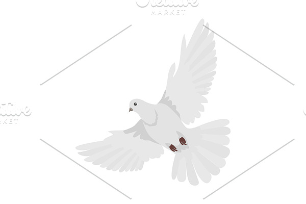 Pigeon Flat Design Vector