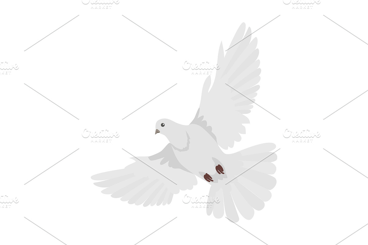 Pigeon Flat Design Vector in Illustrations - product preview 8