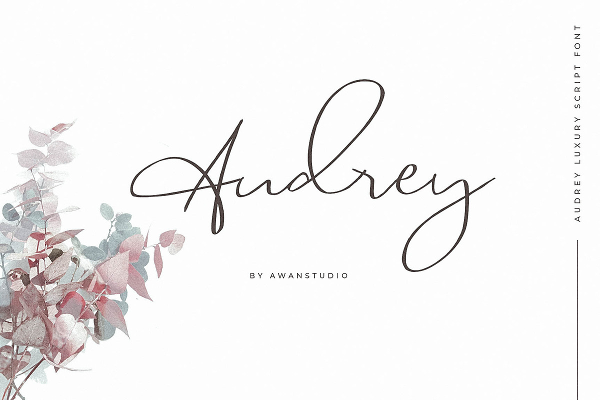 Audrey | Luxury Script Font in Script Fonts - product preview 8