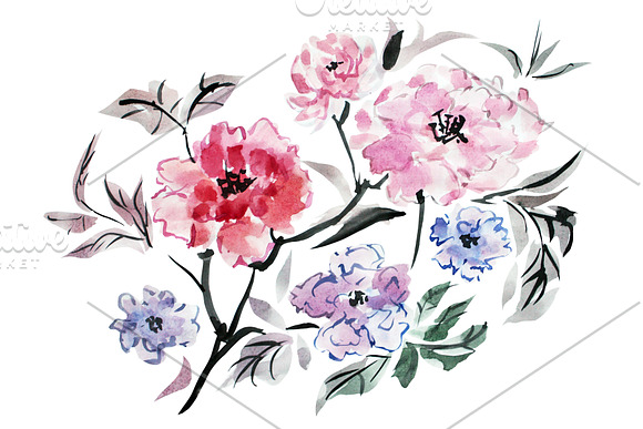 Watercolor Peonies Floral Decoration in Illustrations - product preview 1