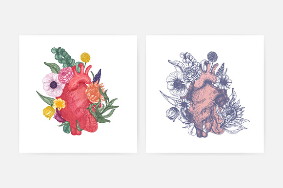 Floral anatomical heart set in Illustrations - product preview 1