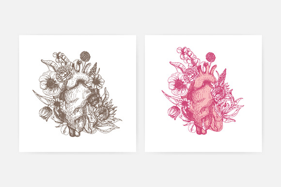 Floral anatomical heart set in Illustrations - product preview 2