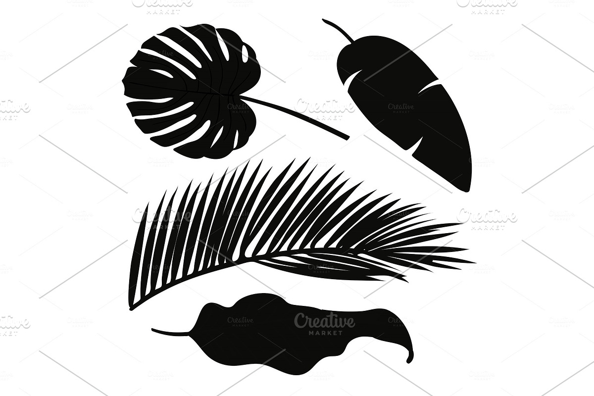 Set of palm leaves silhouettes in Illustrations - product preview 8