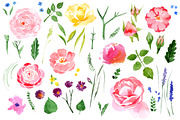 Hand drawn watercolor roses