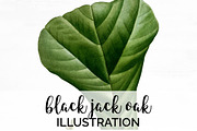 Oak Leaf Vintage Black Jack Leaves