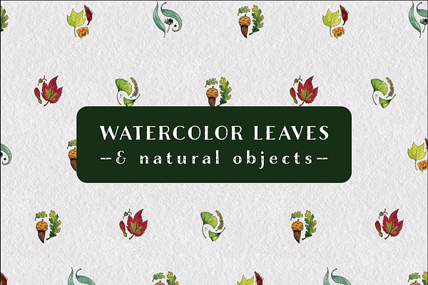 Watercolor Leaves and Patterns