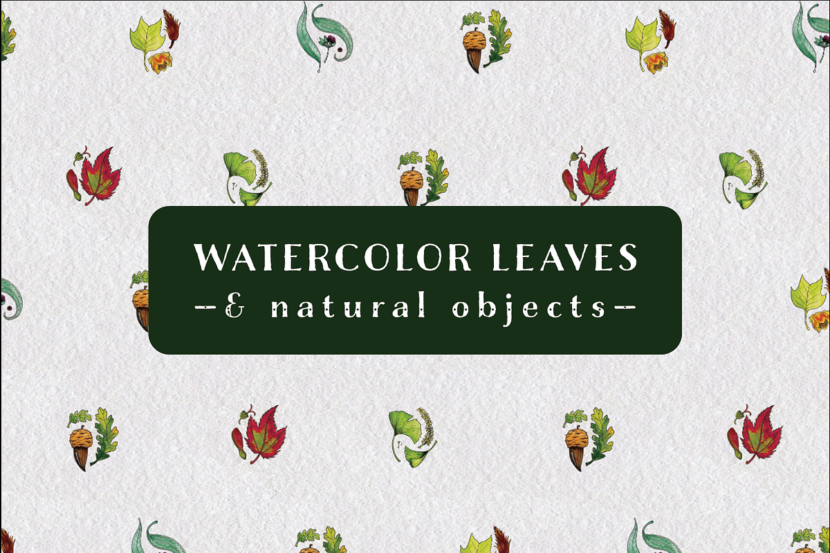 Watercolor Leaves and Patterns in Illustrations - product preview 8