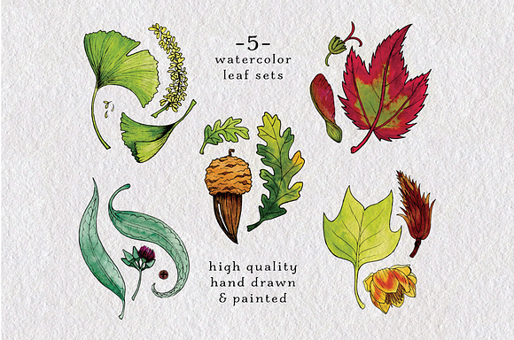 Watercolor Leaves and Patterns in Illustrations - product preview 1