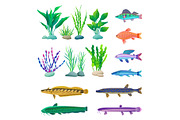 Different-sized and Colored Fish and