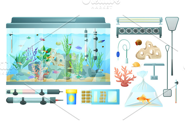 Aquarium and Its Elements Isolated