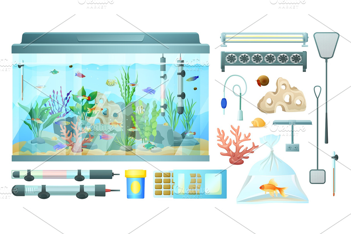 Aquarium and Its Elements Isolated in Illustrations - product preview 8