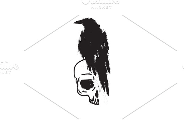 Black raven crow on skull.