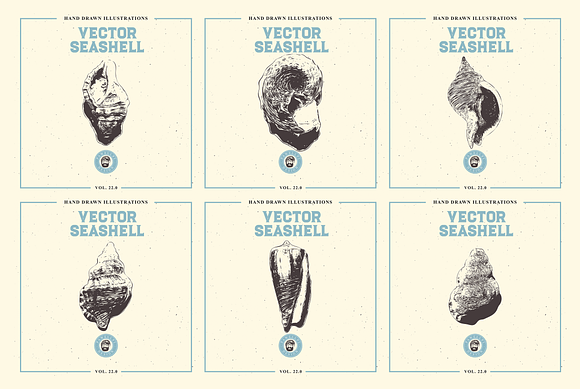 VECTOR SEASHELL HAND DRAWN BUNDLE 22 in Illustrations - product preview 7