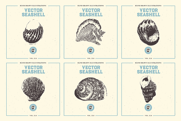 VECTOR SEASHELL HAND DRAWN BUNDLE 22 in Illustrations - product preview 8