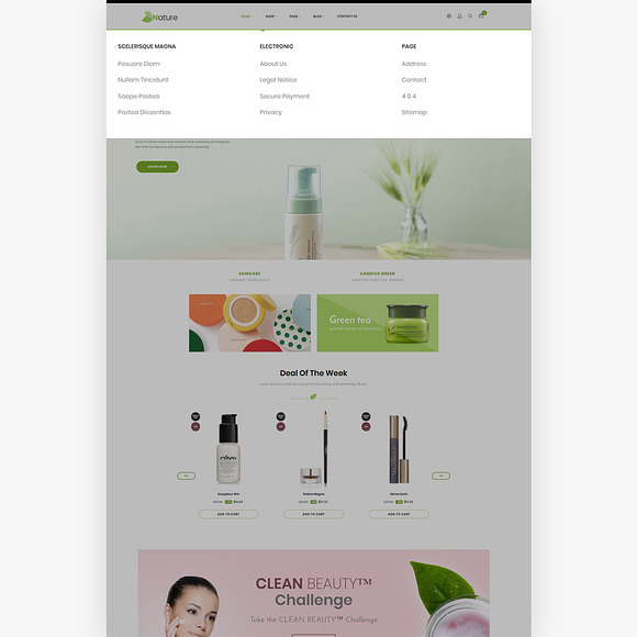 Bos Nature - Skin Care And Beauty Sp in Website Templates - product preview 2