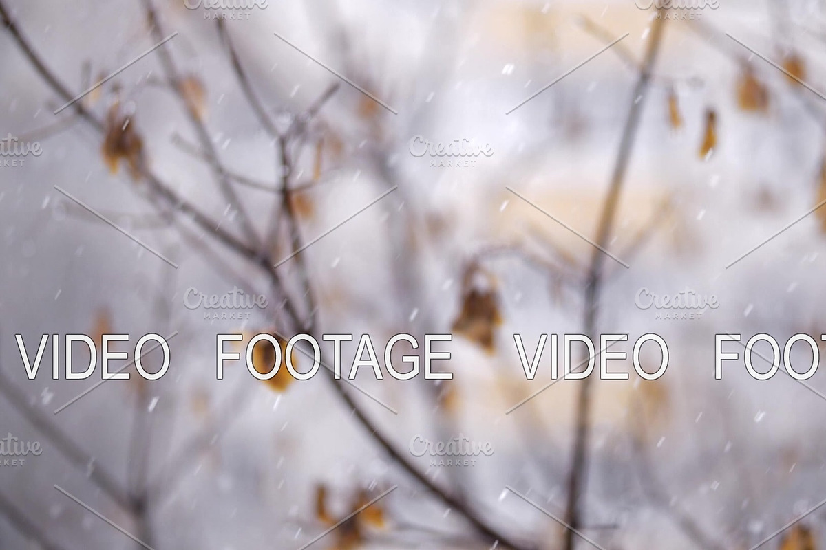 Falling snow and faded trees in late in Graphics - product preview 8
