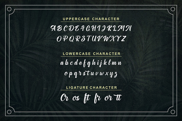 Anthemie in Script Fonts - product preview 5