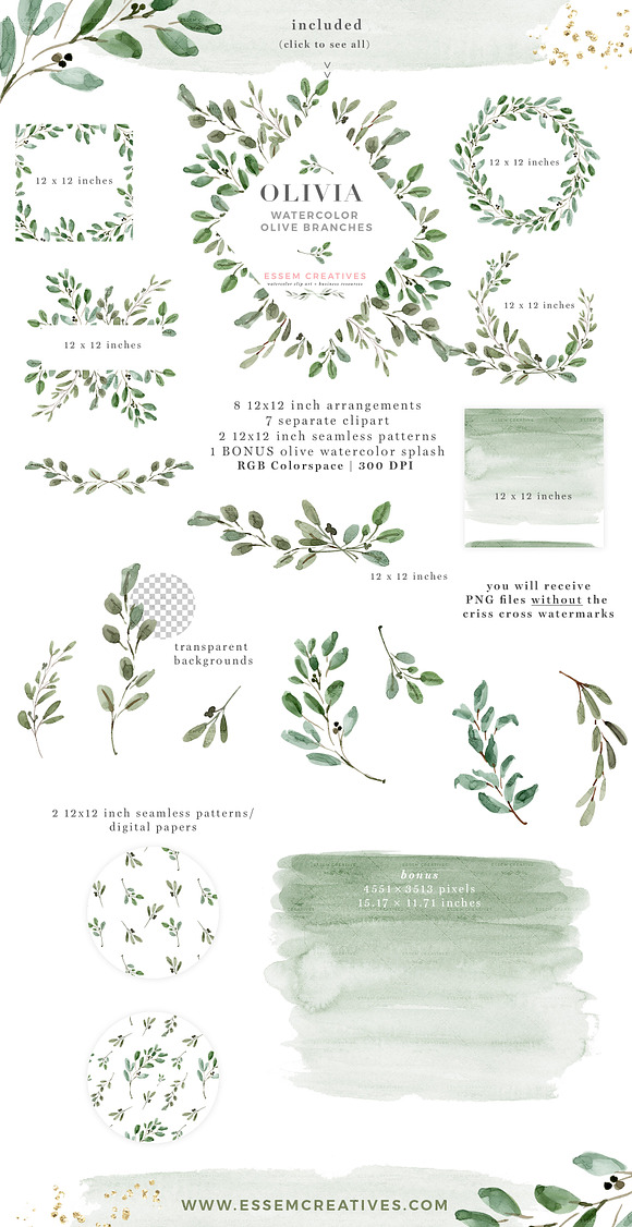 Watercolor Olive Branch Leaves in Illustrations - product preview 3