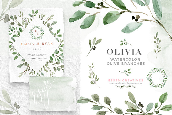 Watercolor Olive Branch Leaves in Illustrations - product preview 5