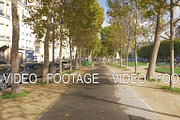 Tree lined walkway in autumn Paris