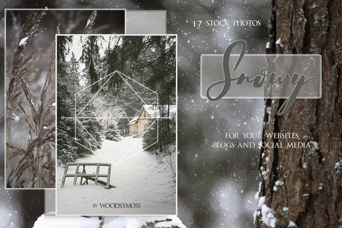 Snowy - Stock Photos in Website Templates - product preview 8