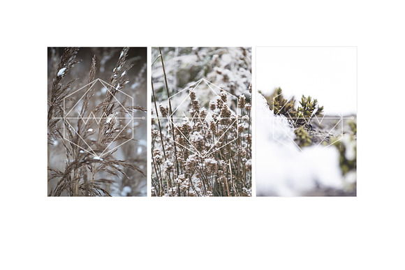 Snowy - Stock Photos in Website Templates - product preview 2