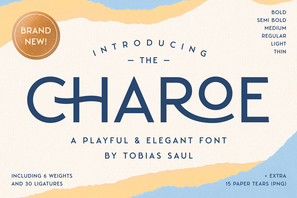 Charoe Typeface & Extras in Display Fonts - product preview 8