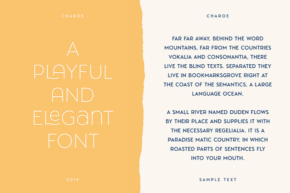 Charoe Typeface & Extras in Display Fonts - product preview 4
