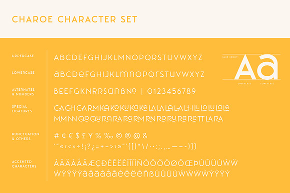 Charoe Typeface & Extras in Display Fonts - product preview 12