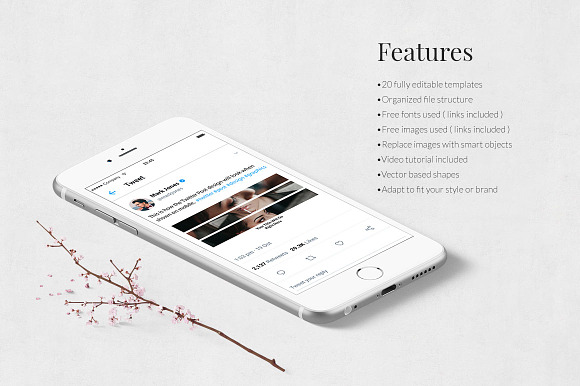 Makeup Twitter Posts in Twitter Templates - product preview 2