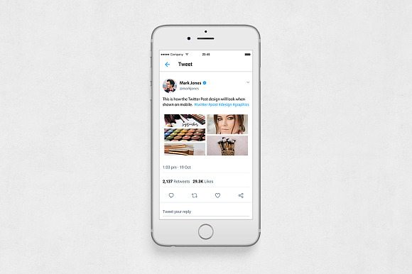 Makeup Twitter Posts in Twitter Templates - product preview 5