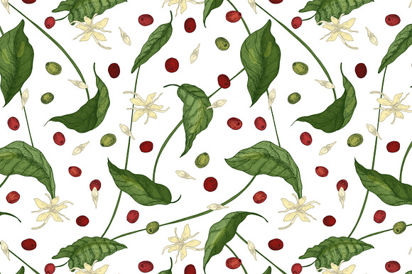 Coffee tree branch set and seamless in Illustrations - product preview 2