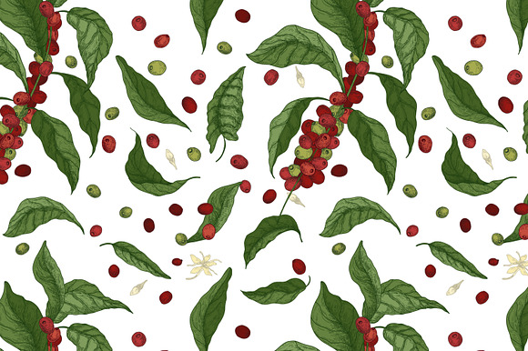 Coffee tree branch set and seamless in Illustrations - product preview 5