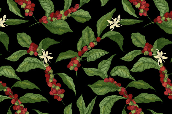 Coffee tree branch set and seamless in Illustrations - product preview 6