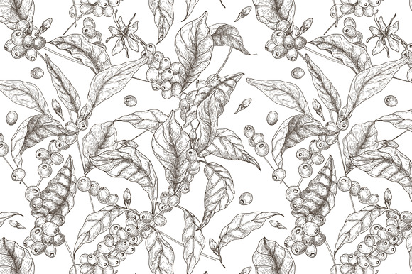 Coffee tree branch set and seamless in Illustrations - product preview 14