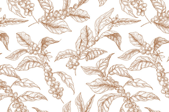 Coffee tree branch set and seamless in Illustrations - product preview 15