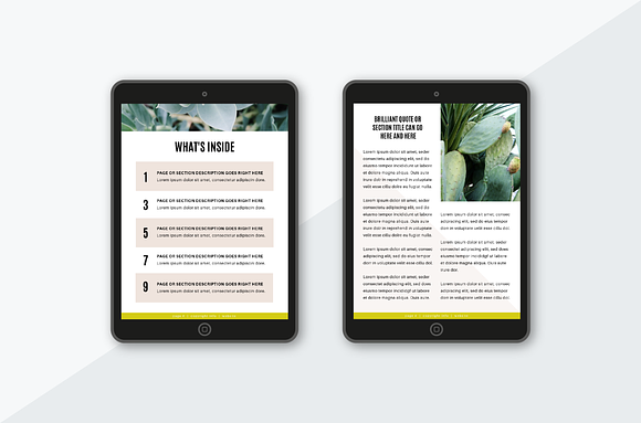 Creativepreneur eBook Canva Template in Magazine Templates - product preview 6